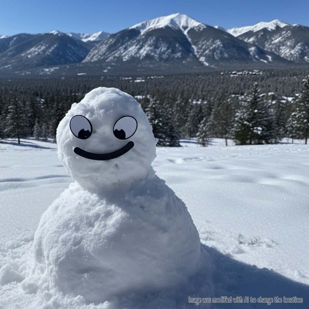 A Snowman Revolution